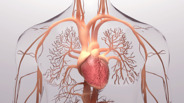 HeartvascularSuperspecialityHospital HeartDepartment